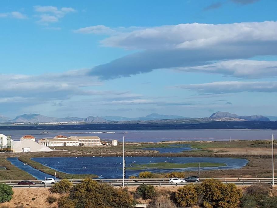 Apartament Flamingo Z Basenem Torrevieja Ngoại thất bức ảnh