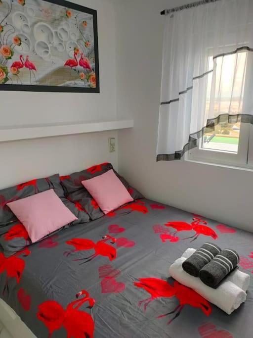 Apartament Flamingo Z Basenem Torrevieja Ngoại thất bức ảnh